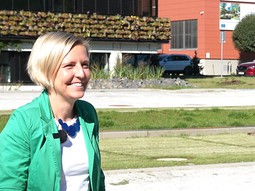 Jak správně udělat zelené parkoviště, aby zůstalo zelené a plnilo očekávání?