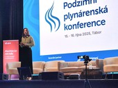 Realita - plyn jako zdroj energie nelze do roku 2050 zcela nahradit