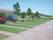 Proč jsou zasakovací rošty AS-TTE ideálním řešením pro okolí stromů