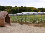 Dotace na agrovoltaiku: MŽP přidělilo 300 milionů z Modernizačního fondu Agrovoltaika MND na jižní Moravě, foto © TZB-info