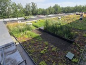 Cirkularita pro zelené střechy