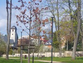 Deset bodů pro dobré řízení obce: od vize k realizaci, dokument ČKA ke komunálním volbám Dokument ČKA ke komunálním volbám, Česká Kamenice, ilustrační obrázek, foto D. Kopačková, redakce