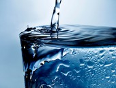 Češi a úspora pitné vody: Polovina domácností sbírá dešťovku, systémová řešení ale chybí